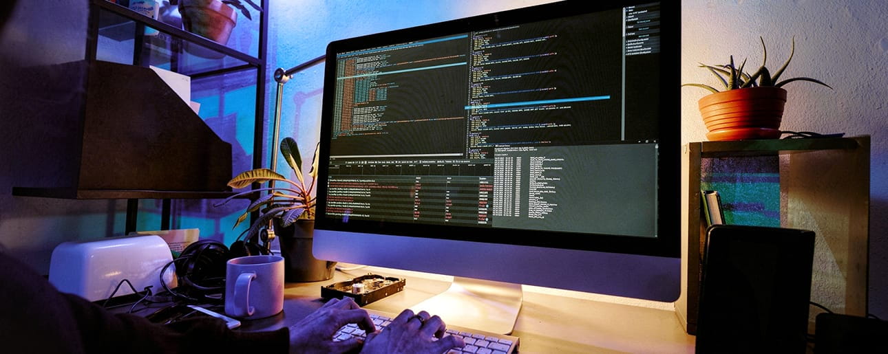 Bachelor in Web Development