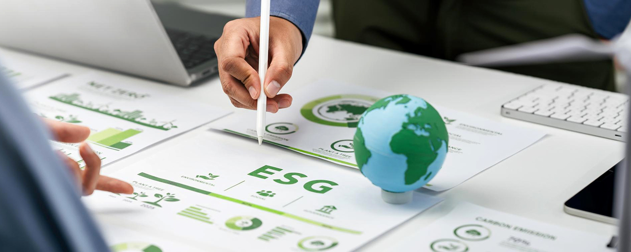 Mastère's in Sustainable Development & CSR
